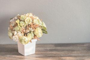 Lee más sobre el artículo Las mejores flores del otoño México 2019