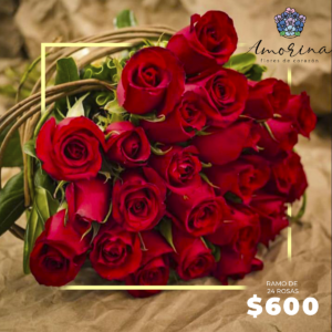 Ramo de 24 Rosas